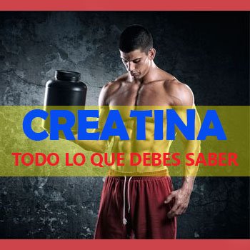 CREATINA ¿Qué es, como se toma? ¿Todo lo que tienes que saber!