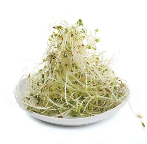 Alfalfa para que sirve, propiedades y beneficios.