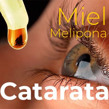 miel melipona para que sirve