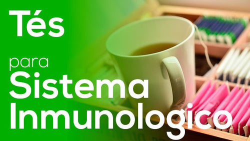 tés para el sistema inmunologico