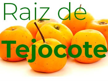 raiz de tejocote para que sirve