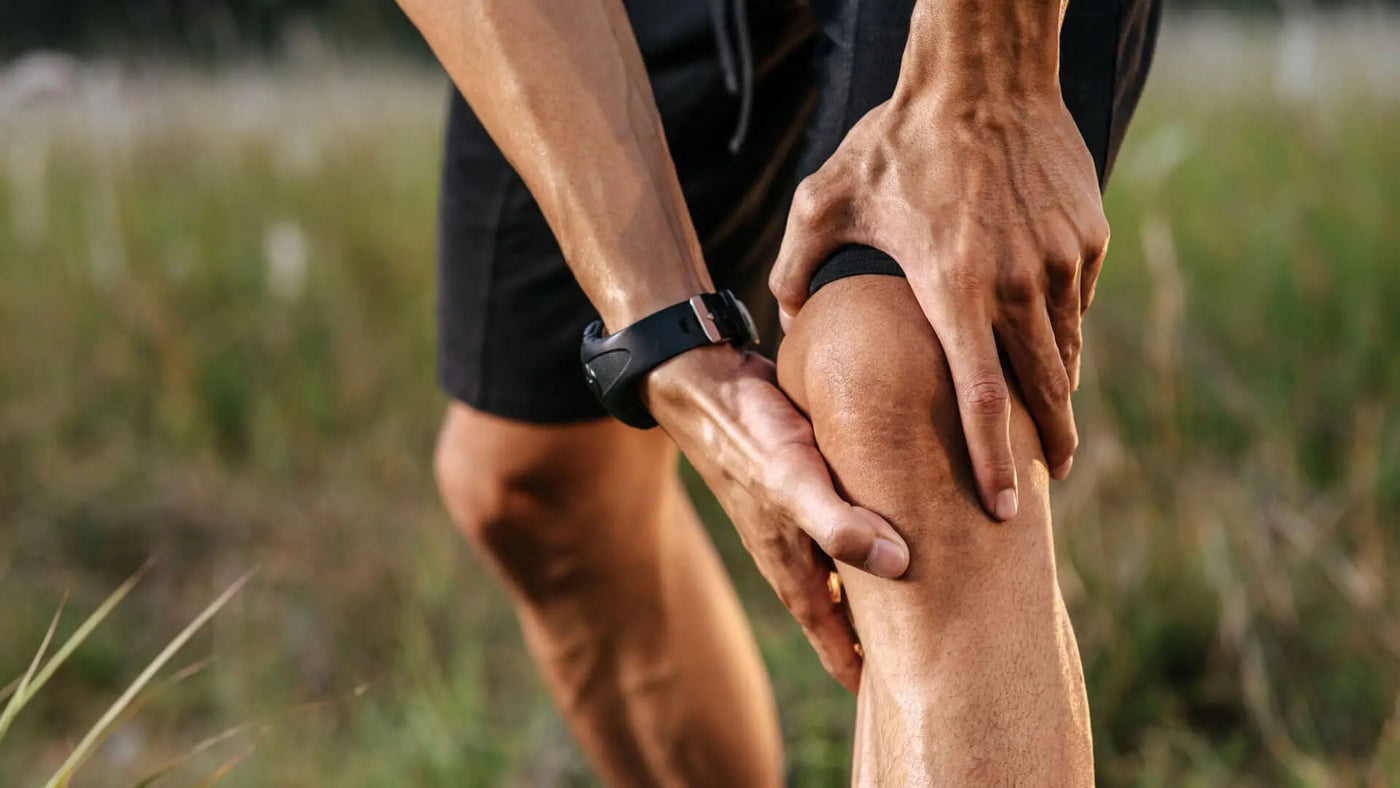 tienda online mi naturista compra suplementos para articulaciones