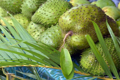 guanabana para el cancer