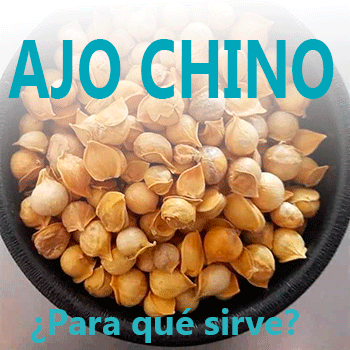 Ajo chino