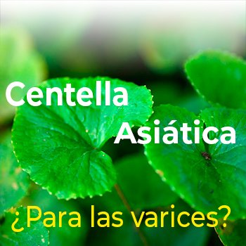 Centella asiática