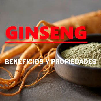 Ginseng Beneficios y Propiedades