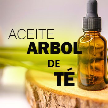 Aceite de árbol de té (tea tree)