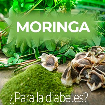 Moringa para la diabetes