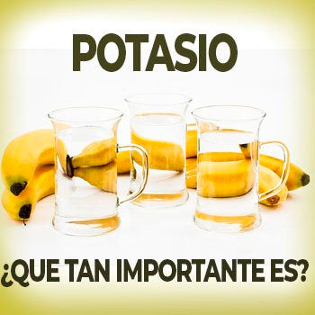 platano vasos de agua