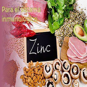 zinc portada